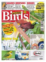Cage & Aviary Birds